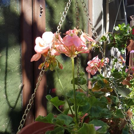 Guesthouse Gia Tbilisi Zewnętrze zdjęcie