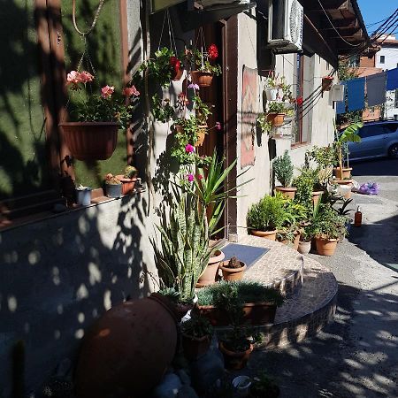 Guesthouse Gia Tbilisi Zewnętrze zdjęcie
