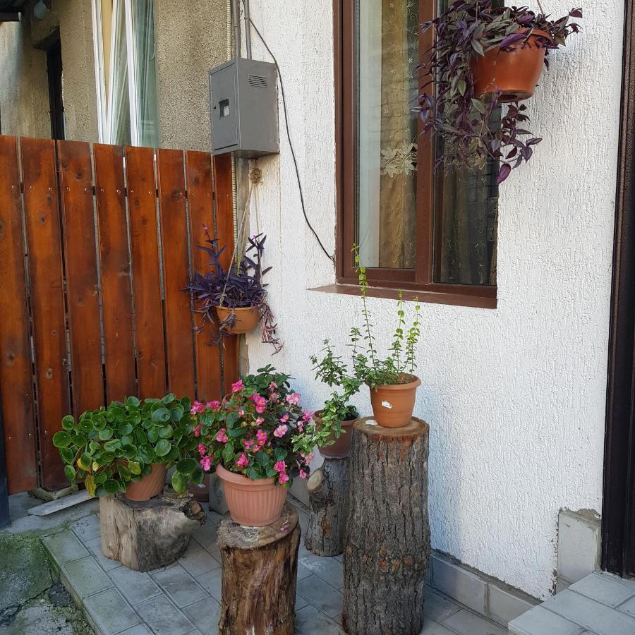 Guesthouse Gia Tbilisi Zewnętrze zdjęcie
