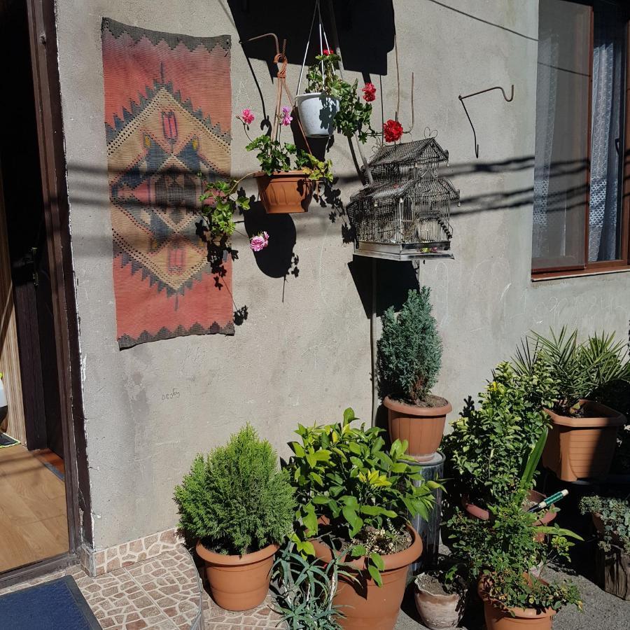Guesthouse Gia Tbilisi Zewnętrze zdjęcie