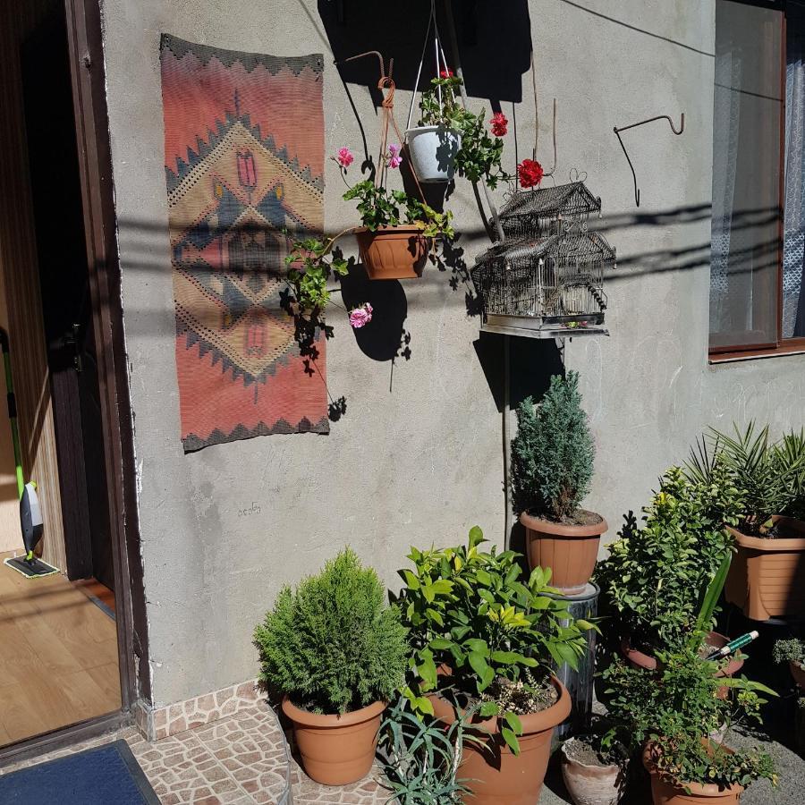 Guesthouse Gia Tbilisi Zewnętrze zdjęcie