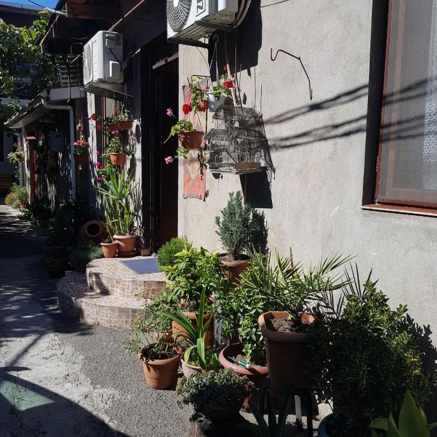 Guesthouse Gia Tbilisi Zewnętrze zdjęcie
