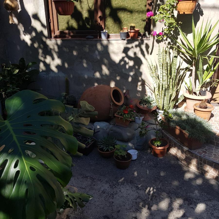 Guesthouse Gia Tbilisi Zewnętrze zdjęcie